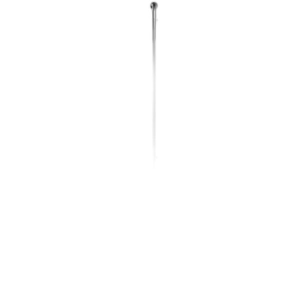 SAPIM RACE/ J-Bend / Silver/ 264mm