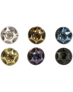 Silca Bottle Cage Screw Titanium | 4 Pieces | Gold Ano